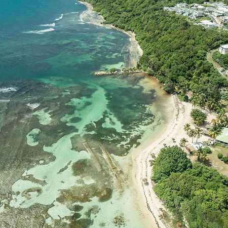 Le Pti' Zandoli Anse Des Rochers Lägenhet Saint-Francois  Exteriör bild